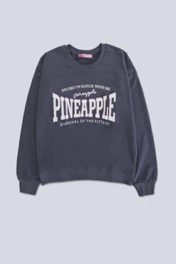 Pineapple Womens Grey Logo Sweatshirt -Pineapple 396 766s5